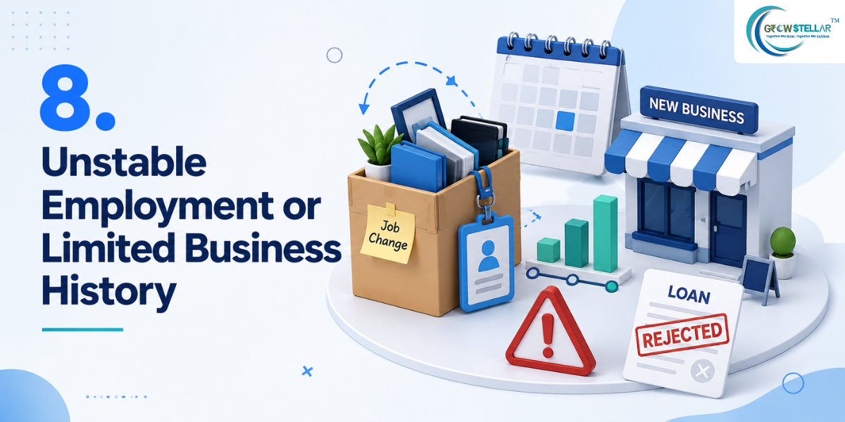 Unstable Employment or Limited Business History